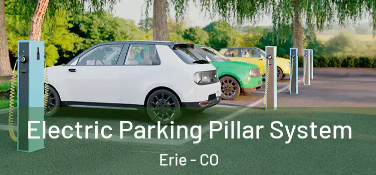  Electric Parking Pillar System Erie - CO