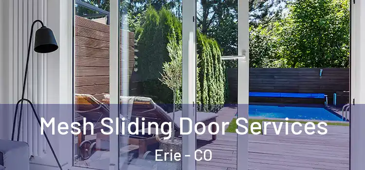 Mesh Sliding Door Services Erie - CO